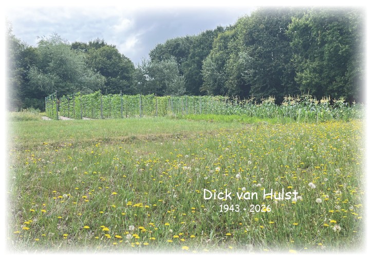 In Memoriam Dick van Hulst (1943 - 2026)
